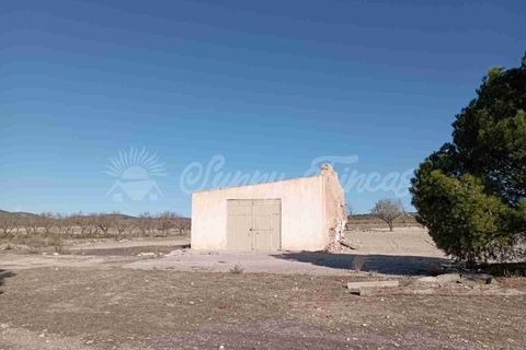 Finca i Caudete, Albacete, Caudete - € 29.995 | Ref: SF0480 - foto 6